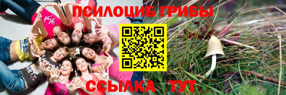 Бутурлиновка  Галлюциногенные грибы Psilocybe  Вход с VPN  купить   Галлюциногенные грибы ЛСД 