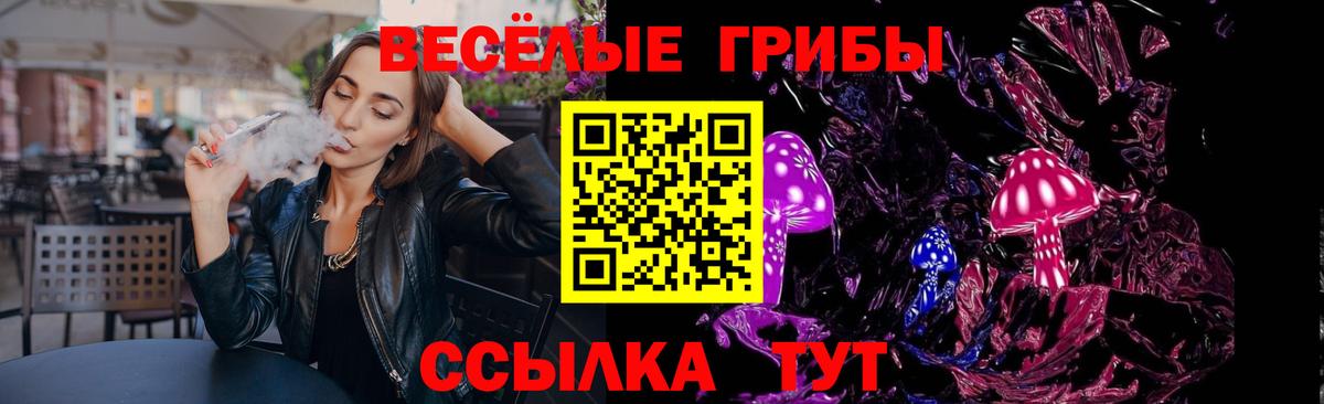 Псилоцибиновые грибы Psilocybe Бутурлиновка